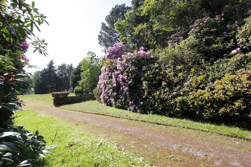 questions to ask in online dating